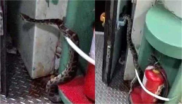 python found in howrah mail train