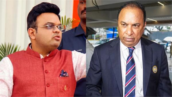 icc and bcci outraged over the deaths of cricketers pakistan