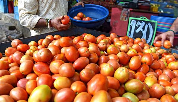 tomatoes reach rs 300 per kg in pakistan