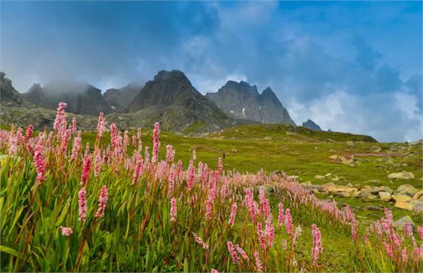uttarakhand famour valley of flowers closes for winter