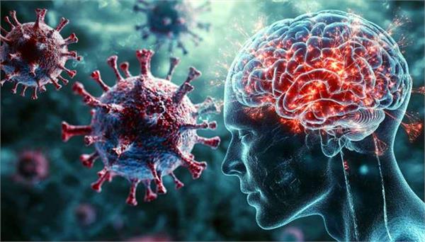 covid pandemic has aged everyone brains more