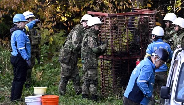 japan deploys troops to catch bears