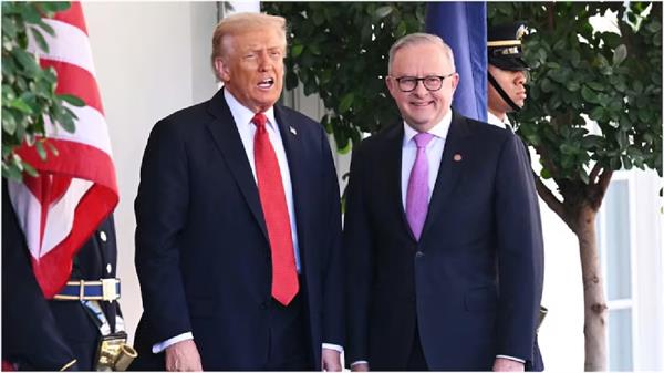 america removes tariffs on 200 products including beef