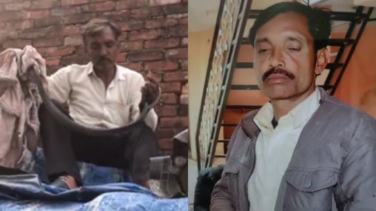 ਬਹਾਦਰੀ ਦਿਖਾਉਣ ਲਈ ਖੇਤਾਂ ''ਚੋਂ ਘਰ ਲਿਆਇਆ ਸੀ ਕੋਬਰਾ, ਜੀਭ ਸਣੇ ਕਈ ਜਗ੍ਹਾ ''ਤੇ ਡੰਗਿਆ, ਕੁਝ ਮਿੰਟਾਂ ''ਚ ਹੋਈ ਮੌਤ