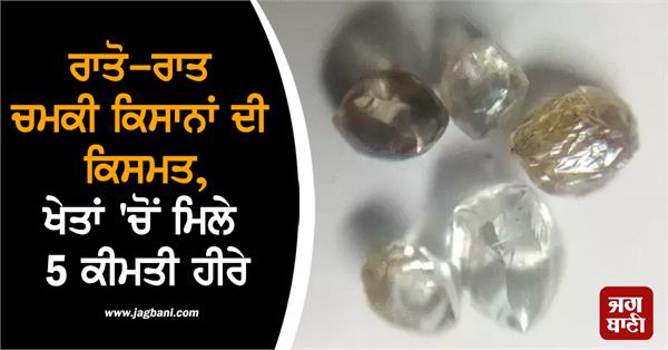 farmer luck shines found 5 diamonds