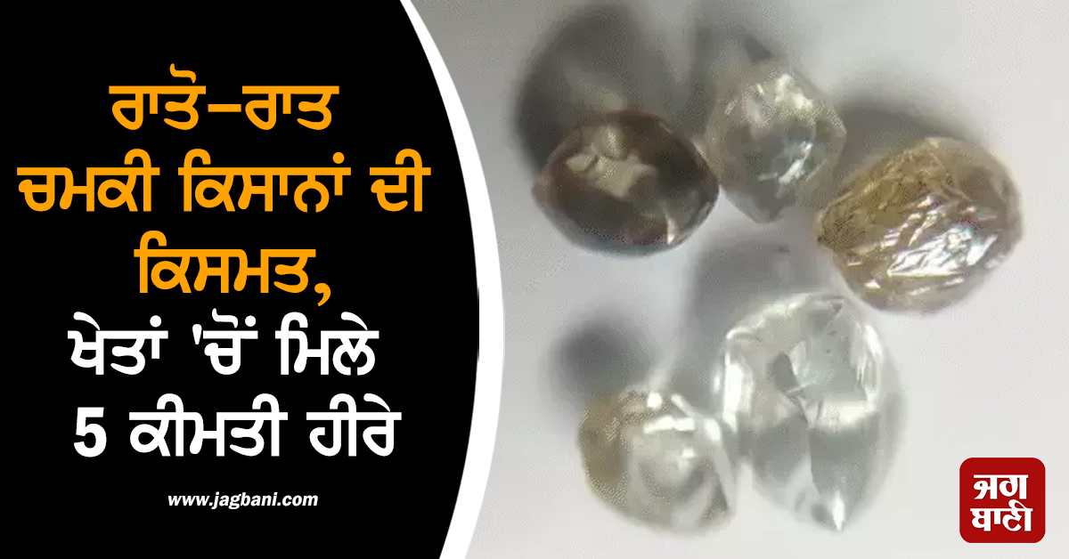 ਰਾਤੋ-ਰਾਤ ਚਮਕੀ ਕਿਸਾਨਾਂ ਦੀ ਕਿਸਮਤ, ਖੇਤਾਂ 'ਚੋਂ ਮਿਲੇ 5 ਕੀਮਤੀ ਹੀਰੇ, ਬਣੇ ਲੱਖਪਤੀ