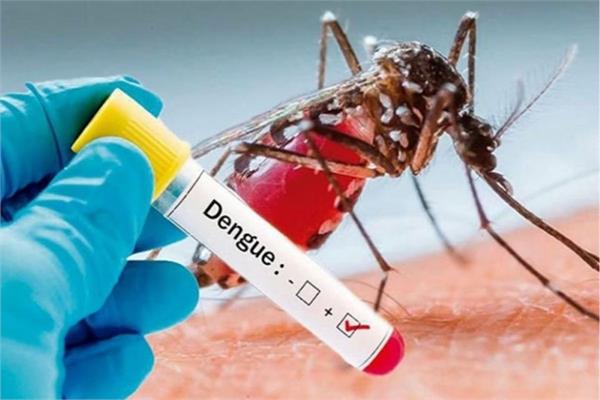 dengue patients start increasing