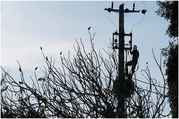 ਪੰਜਾਬ ਦੇ ਬਿਜਲੀ ਖ਼ਪਤਕਾਰ ਰਹਿਣ ਸਾਵਧਾਨ! PSPCL ਨੇ ਲਿਆ ਵੱਡਾ ਫ਼ੈਸਲਾ, ਹੁਣ ਗਲਤੀ ਨਾਲ ਵੀ...