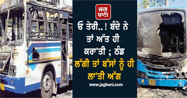 when it gets cold they set fire to the buses 