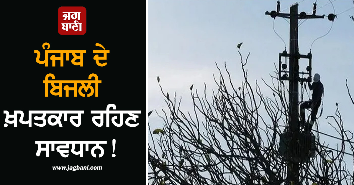 ਪੰਜਾਬ ਦੇ ਬਿਜਲੀ ਖ਼ਪਤਕਾਰ ਰਹਿਣ ਸਾਵਧਾਨ! PSPCL ਨੇ ਲਿਆ ਵੱਡਾ ਫ਼ੈਸਲਾ, ਹੁਣ ਗਲਤੀ ਨਾਲ ਵੀ...