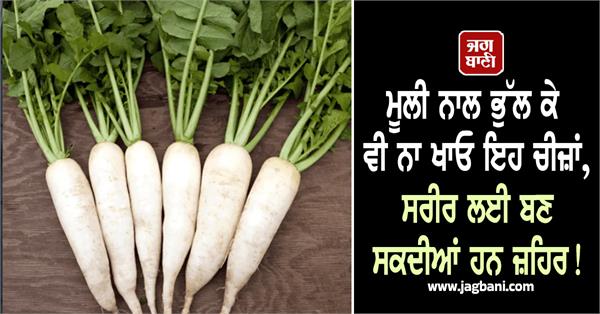 radish  health  poison  winter