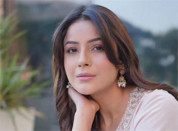 shehnaaz gill    bigg boss   was a platform where my life changed