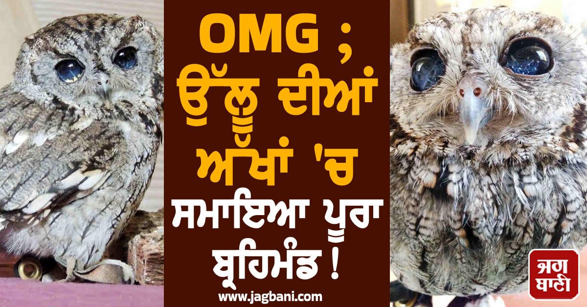 OMG ; ਉੱਲੂ ਦੀਆਂ ਅੱਖਾਂ ''ਚ ਸਮਾਇਆ ਪੂਰਾ ਬ੍ਰਹਿਮੰਡ ! ਤਸਵੀਰਾਂ ਦੇਖ ਤੁਸੀਂ ਵੀ ਰਹਿ ਜਾਓਗੇ ਹੈਰਾਨ