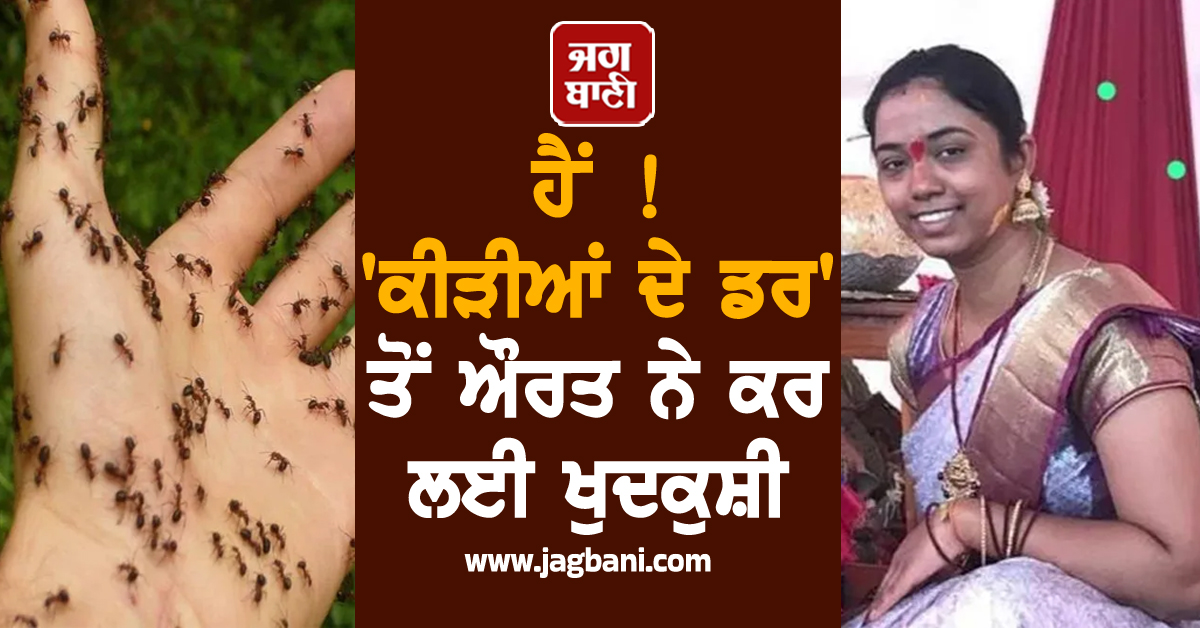 ਹੈਂ ! ''ਕੀੜੀਆਂ ਦੇ ਡਰ'' ਤੋਂ ਔਰਤ ਨੇ ਕਰ ਲਈ ਖੁਦਕੁਸ਼ੀ, ਪਤੀ ਦੇ ਨਾਮ ਛੱਡਿਆ ਭਾਵੁਕ ਸੁਸਾਈਡ ਨੋਟ