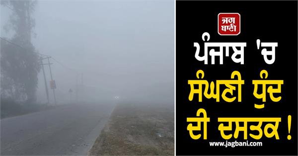 punjab weather update