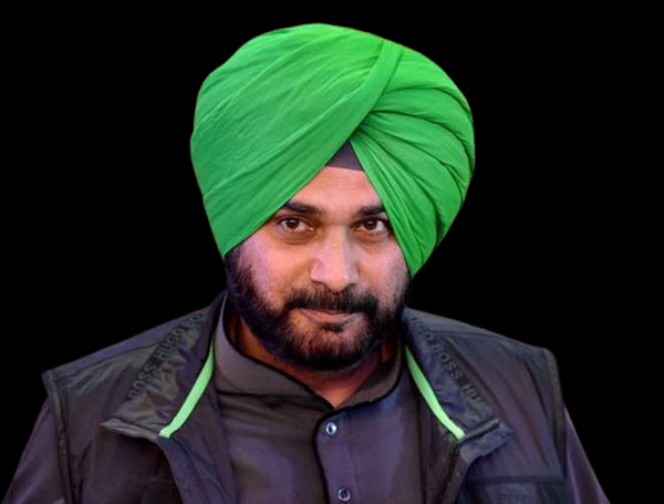 ਪੰਜਾਬ ਦੀ ਸਿਆਸਤ 'ਚ ਹਲਚਲ! ਮੁੜ ਸਰਗਰਮ ਹੋਣ ਲੱਗੇ ਨਵਜੋਤ ਸਿੰਘ ਸਿੱਧੂ