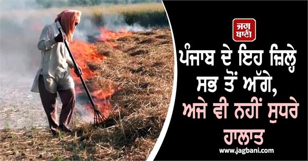 these districts of punjab are at the forefront