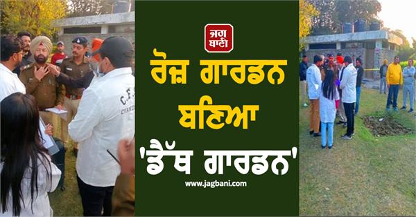 rose garden becomes death garden 