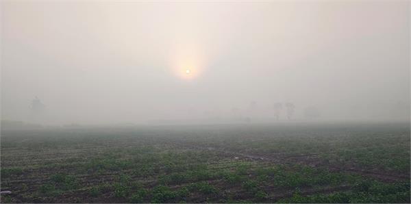 punjab weather update