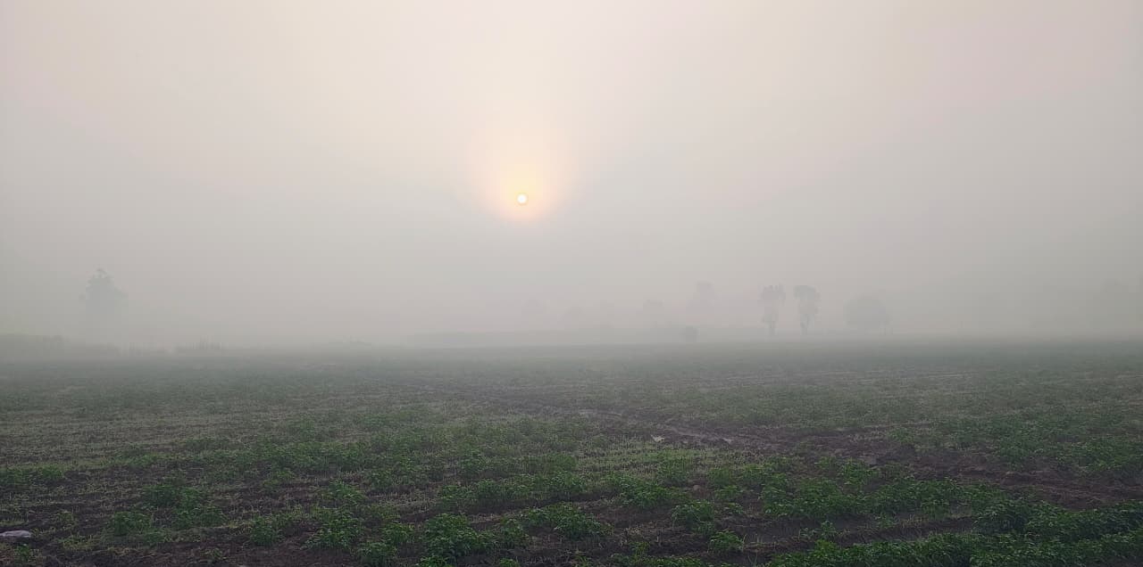 ਪੰਜਾਬੀਓ, ਕੱਢ ਲਓ ਰਜਾਈਆਂ! ਸੀਤ ਲਹਿਰ ਤੇ ਧੁੰਦ ਬਾਰੇ ਹੋ ਗਈ ਵੱਡੀ ਭਵਿੱਖਬਾਣੀ