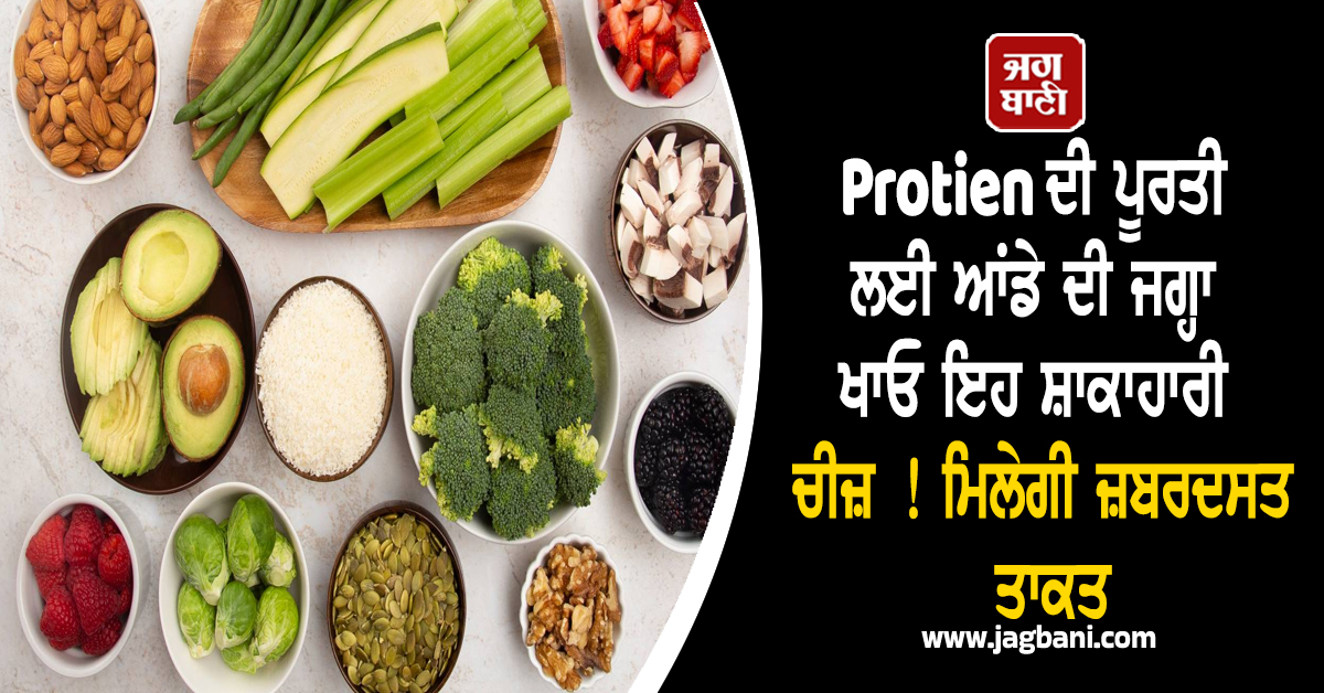 Protein ਦੀ ਪੂਰਤੀ ਲਈ ਆਂਡੇ ਦੀ ਜਗ੍ਹਾ ਖਾਓ ਇਹ ਸ਼ਾਕਾਹਾਰੀ ਚੀਜ਼ ! ਮਿਲੇਗੀ ਜ਼ਬਰਦਸਤ ਤਾਕਤ