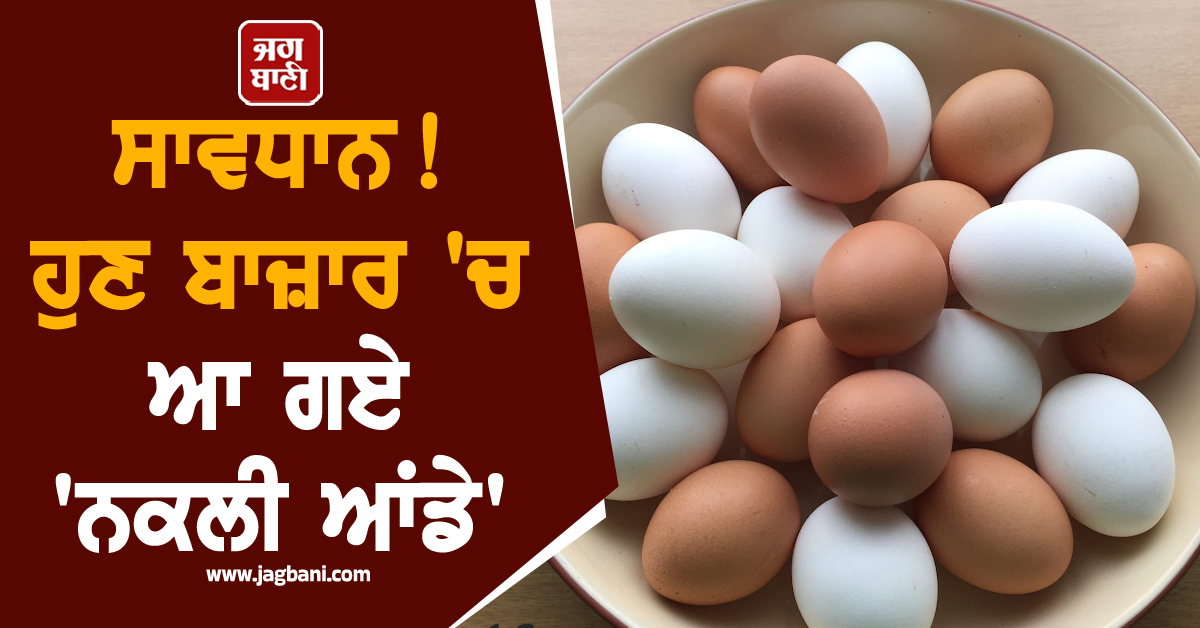 ਸਾਵਧਾਨ ! ਹੁਣ ਬਾਜ਼ਾਰ 'ਚ ਆ ਗਏ 'ਨਕਲੀ ਆਂਡੇ', ਖਾਣ ਤੋਂ ਪਹਿਲਾਂ ਕਰ ਲਓ ਚੈੱਕ