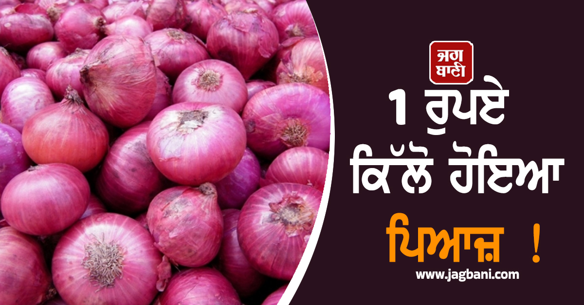 1 ਰੁਪਏ ਕਿੱਲੋ ਹੋਇਆ ਪਿਆਜ਼ ! ਡਿੱਗੀਆਂ ਕੀਮਤਾਂ ਕਾਰਨ MP ਦੇ ਕਿਸਾਨਾਂ 'ਚ ਹਾਹਾਕਾਰ