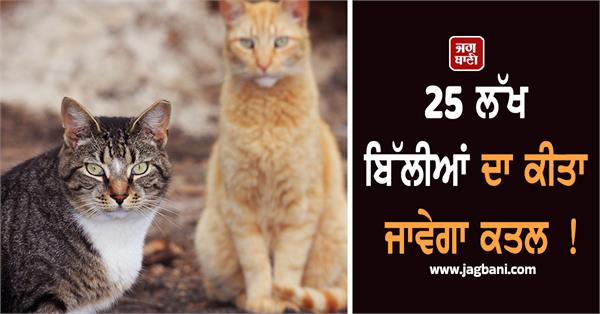 25 lakh cats to be eliminated