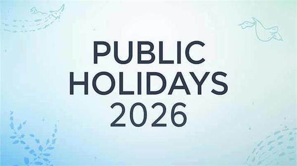 employees holidays punjab government