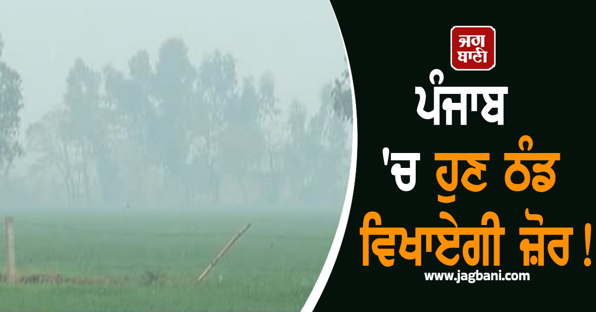 ਪੰਜਾਬ 'ਚ ਹੁਣ ਠੰਡ ਵਿਖਾਏਗੀ ਜ਼ੋਰ! ਫਰੀਦਕੋਟ ਰਿਹਾ ਸ਼ਿਮਲਾ ਵਾਂਗ ਠੰਡਾ, ਪੜ੍ਹੋ Weather ਦੀ ਤਾਜ਼ਾ ਅਪਡੇਟ