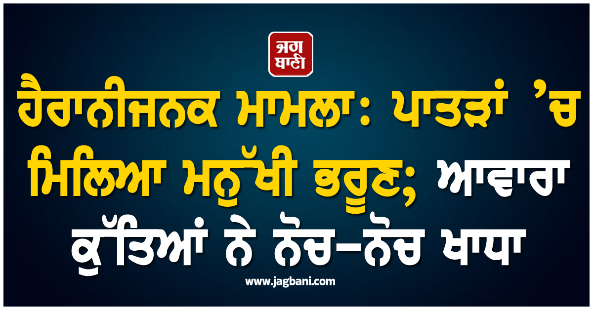 ਹੈਰਾਨੀਜਨਕ ਮਾਮਲਾ: ਪਾਤੜਾਂ ’ਚ ਮਿਲਿਆ ਮਨੁੱਖੀ ਭਰੂਣ; ਆਵਾਰਾ ਕੁੱਤਿਆਂ ਨੇ ਨੋਚ-ਨੋਚ ਖਾਧਾ
