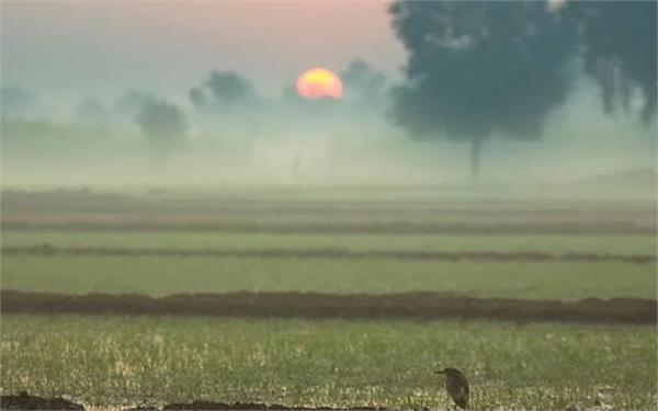 punjab feels the heat in march itself