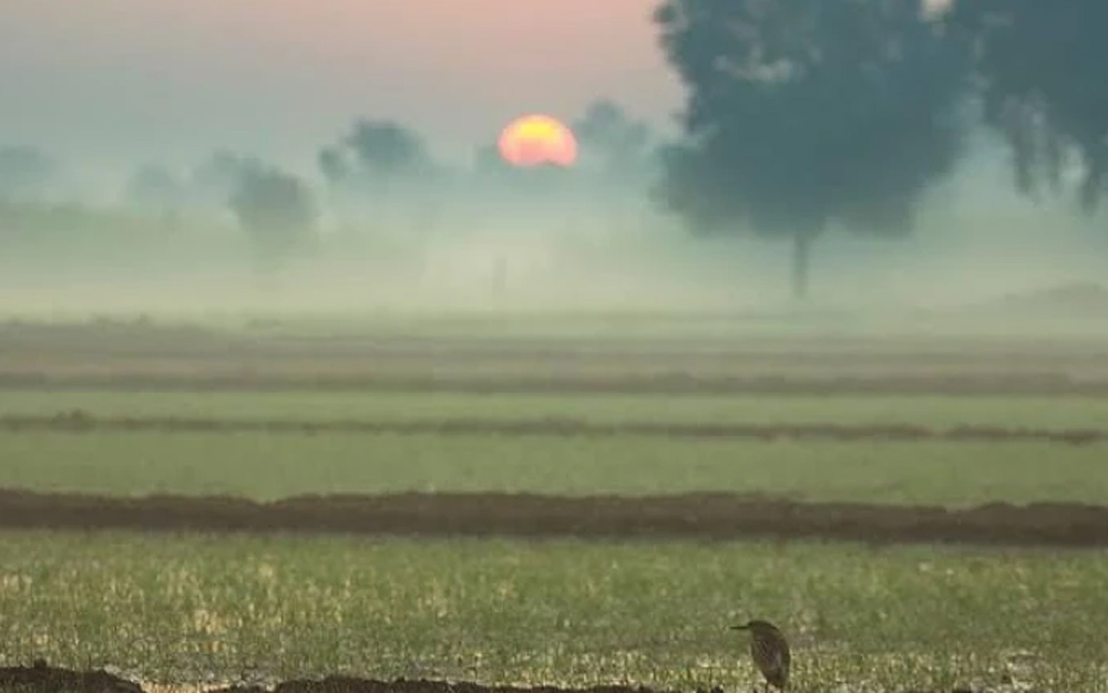 ਪੰਜਾਬ ''ਚ ਮਾਰਚ ਮਹੀਨੇ ਹੀ ਗਰਮੀ ਦਾ ਅਹਿਸਾਸ, ਜਾਣੋ ਆਉਣ ਵਾਲੇ ਦਿਨਾਂ ''ਚ ਕਿਵੇਂ ਦੇ ਰਹਿਣਗੇ ਹਾਲਾਤ