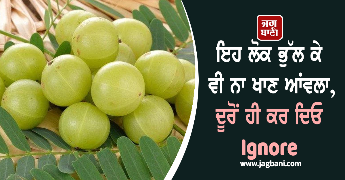 ਕਿਤੇ ਫ਼ਾਇਦੇ ਦੀ ਜਗ੍ਹਾ ਕਰਾ ਨਾ ਬੈਠਿਓ ''ਘਾਟਾ'' ! ਇਹ ਲੋਕ ਭੁੱਲ ਕੇ ਵੀ ਨਾ ਖਾਣ ਆਂਵਲਾ, ਦੂਰੋਂ ਹੀ ਕਰ ਦਿਓ Ignore