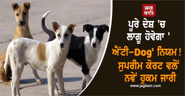 stray dog attack supreme court guidelines