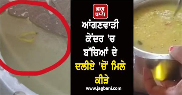 insects found in children s porridge in anganwadi center