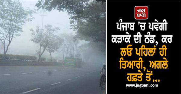 severe cold in punjab