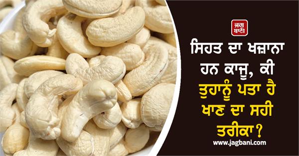 winter  cashew  benefits  health