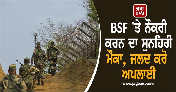 bsf  job  apply  candidate
