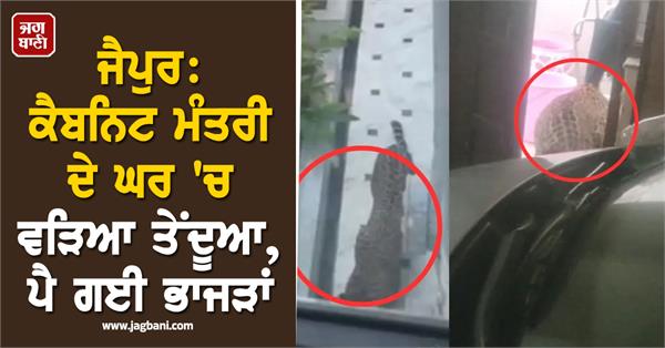 jaipur a leopard entered the house of cabinet minister suresh rawat