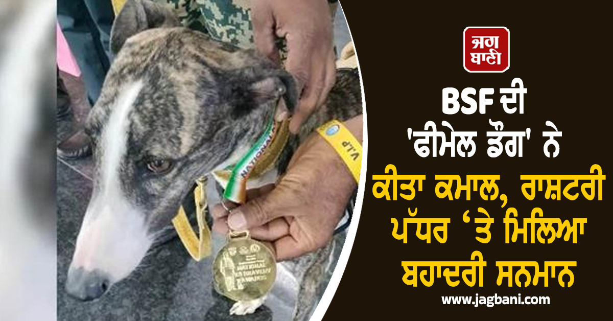 ਪੰਜਾਬ : BSF ਦੀ 'ਫੀਮੇਲ ਡੌਗ' ਨੇ ਕੀਤਾ ਕਮਾਲ, ਰਾਸ਼ਟਰੀ ਪੱਧਰ ‘ਤੇ ਮਿਲਿਆ ਬਹਾਦਰੀ ਸਨਮਾਨ