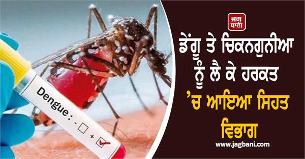 health department takes action against dengue and chikungunya