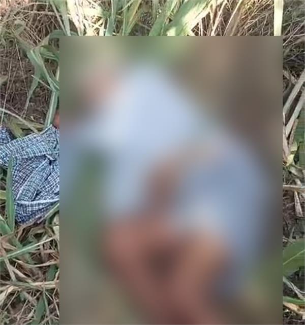 member panchayat  brother  dead body  field