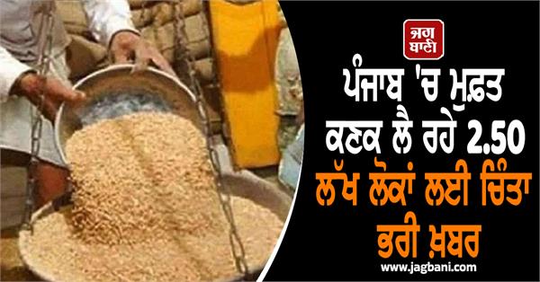 worrying news for 2 50 lakh people getting free wheat in punjab