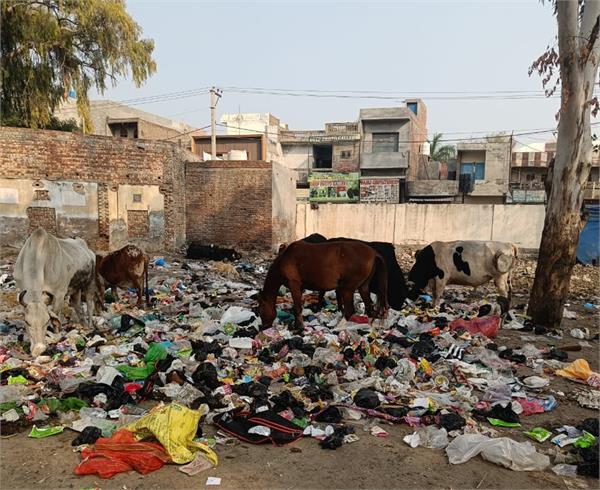 guruharsahai city  filth  officials