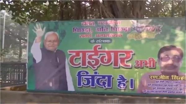 cm residence  poster  tiger still alive