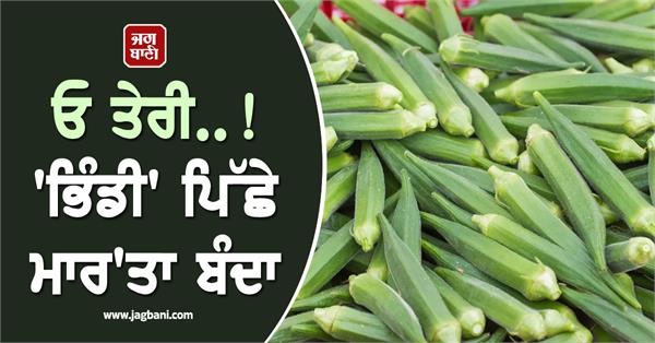 bihar dispute over ladyfinger at rs 10 per kg turns fatal