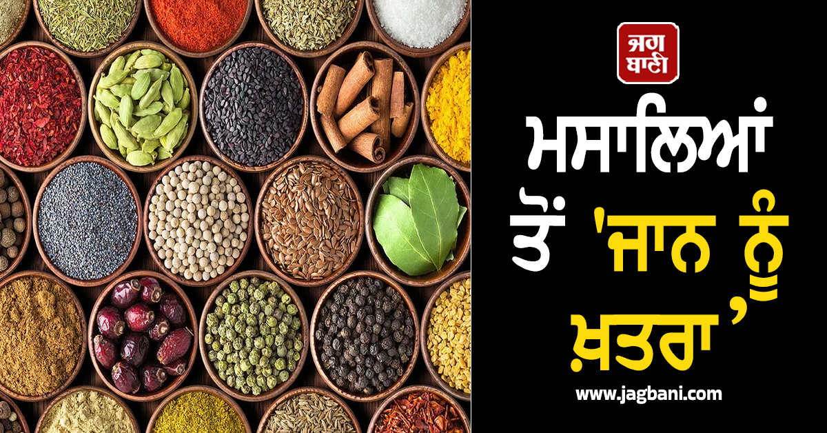 ਮਸਾਲਿਆਂ ਨਾਲ ''ਜਾਨ ਨੂੰ ਖ਼ਤਰਾ’: UN ਦੀ ਸੰਸਥਾ ਨੇ ''ਲੇਡ'' ਦੀ ਹੱਦ ਕੀਤੀ ਤੈਅ, ਭਾਰਤੀ ਕੰਪਨੀਆਂ ਦੀ ਵਧੀ ਪਰੇਸ਼ਾਨੀ