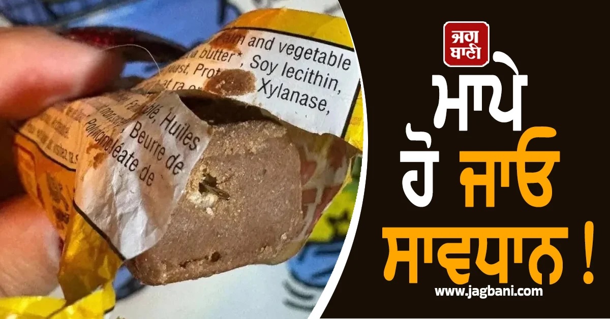 ਮਾਪੇ ਹੋ ਜਾਓ ਸਾਵਧਾਨ! BC 'ਚ ਹੈਲੋਵੀਨ ਕੈਂਡੀ 'ਚੋਂ ਮਿਲੀਆਂ ਸੂਈਆਂ, ਪੁਲਸ ਨੇ ਦਿੱਤੀ Warning