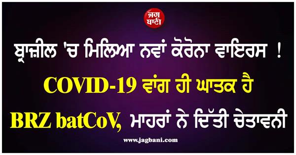 new corona virus found in brazil 